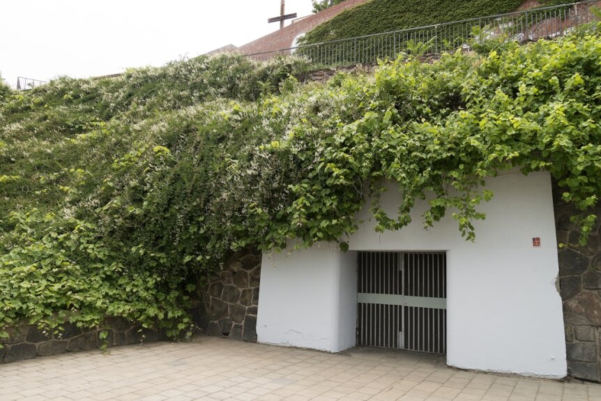 Christof Zwiener, Z čista jasna